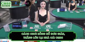 Cách Chơi Rồng Hổ Đơn Giản, Thắng Lớn Tại Nhà Cái CM88