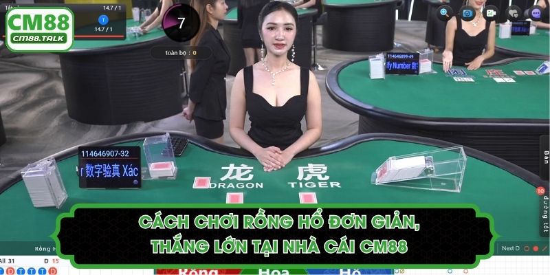 Cách Chơi Rồng Hổ Đơn Giản, Thắng Lớn Tại Nhà Cái CM88