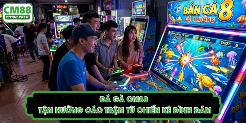 Đá Gà CM88 - Tận Hưởng Các Trận Từ Chiến Kê Đình Đám